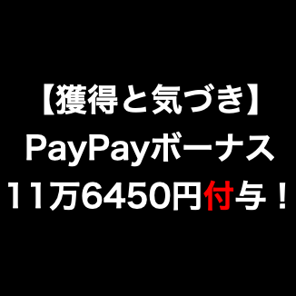 【PayPayボーナス】11万6450円を獲得して改めて気づいたこと。